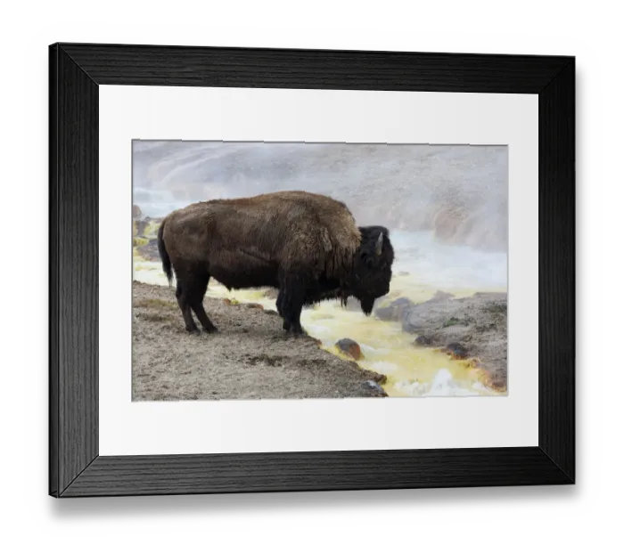 Framed Print : USA, Wyoming, Yellowstone National Park, Midway Geyser Basin Framed Print : USA, Wyoming, Yellowstone National Park, Midway Geyser Basin