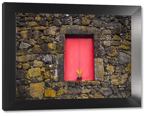 Portugal, Azores, Pico Island, Madalena. Red doors on barn