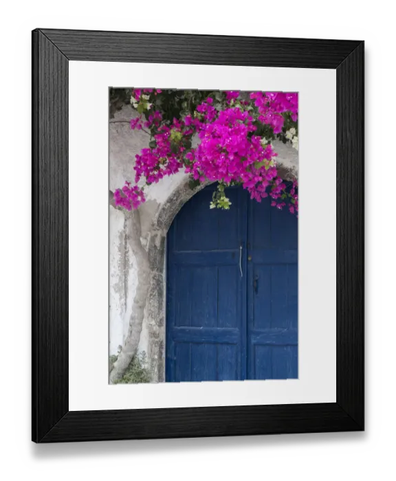 Framed Print : Greece, Santorini. Weathered blue door is framed by bright pink Bougainvillea blossoms Framed Print : Greece, Santorini. Weathered blue door is framed by bright pink Bougainvillea blossoms