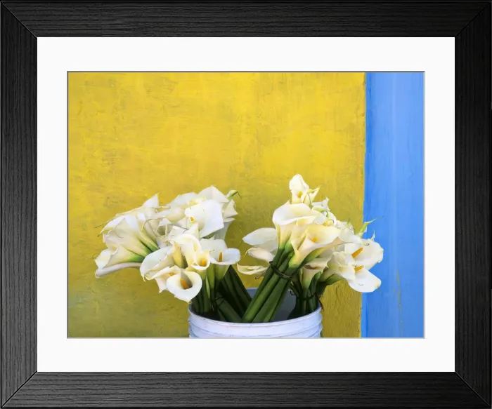 Framed Print : Mexico, Xico. Calla lilies and colorful wall Framed Print : Mexico, Xico. Calla lilies and colorful wall