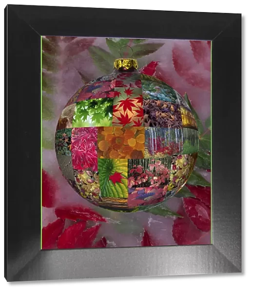 Christmas bulb made from picture sphere and backdrop of ice with mahonia