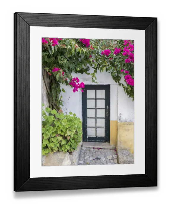 Framed Print : Portugal, Obidos. Doorway surrounded by a bougainvillea vine
