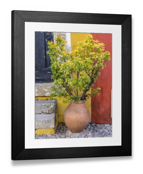 Framed Print : Portugal, Obidos. Potted plant in front of colorful entrance to a home in the hill town of Obidos Framed Print : Portugal, Obidos. Potted plant in front of colorful entrance to a home in the hill town of Obidos