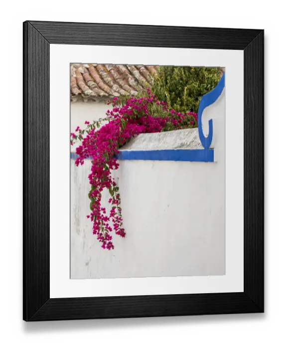 Framed Print : Portugal, Obidos. Beautiful bougainvillea blooming in the town of Obidos, one of Framed Print : Portugal, Obidos. Beautiful bougainvillea blooming in the town of Obidos, one of