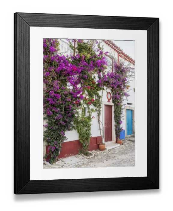 Framed Print : Portugal, Obidos. Beautiful bougainvillea blooming in the town of Obidos, one of