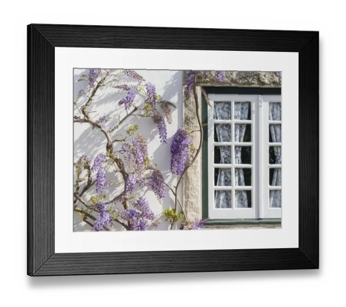 Framed Print : Historic small town Obidos with a medieval old town. Tourist attraction north of Lisboa Framed Print : Historic small town Obidos with a medieval old town. Tourist attraction north of Lisboa