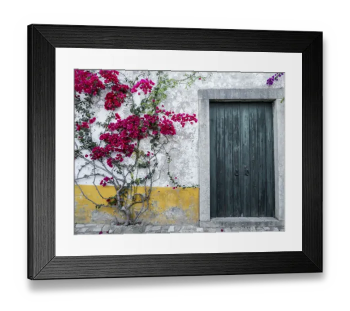 Framed Print : Europe, Portugal, Obidos. Beautiful bougainvillea blooming in the town, one of Framed Print : Europe, Portugal, Obidos. Beautiful bougainvillea blooming in the town, one of