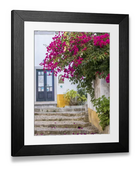Framed Print : Portugal, Obidos. Beautiful bougainvillea blooming in the town of Obidos, one of Framed Print : Portugal, Obidos. Beautiful bougainvillea blooming in the town of Obidos, one of
