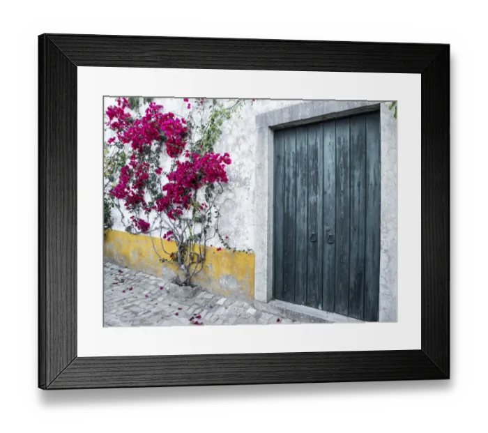 Framed Print : Portugal, Obidos. Beautiful bougainvillea blooming in the town of Obidos, one of