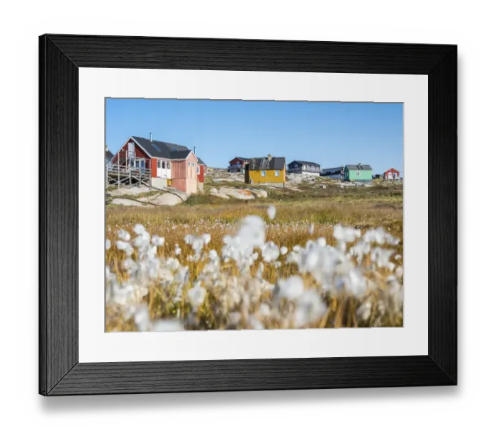 Framed Print : Inuit village Oqaatsut (once called Rodebay) located in Disko Bay. Greenland, Denmark Framed Print : Inuit village Oqaatsut (once called Rodebay) located in Disko Bay. Greenland, Denmark