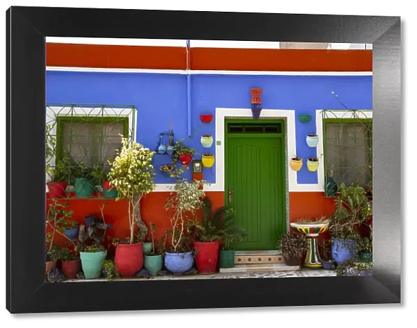 Asilah, Morocco, Multi-colored house with potted plants