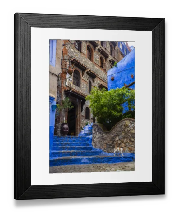 Framed Print : Chefchaouen, Morocco, cat, blue steps, medina