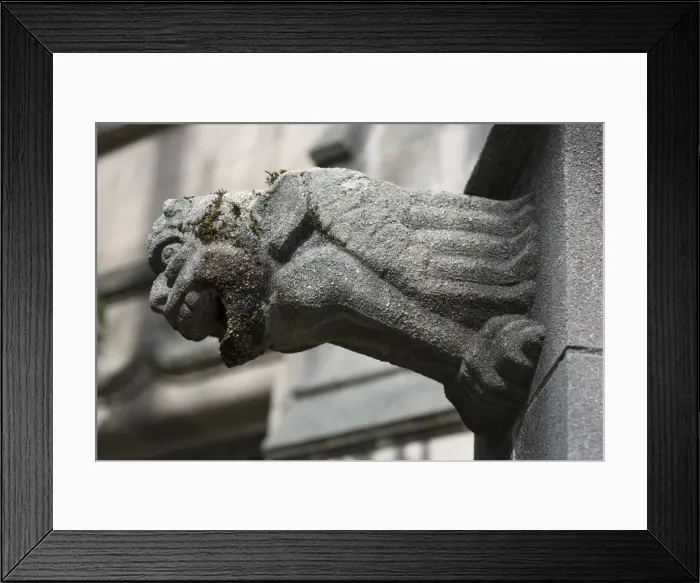Framed Print : University of Washington, Seattle, Washington, gothic architecture, gargoyles Framed Print : University of Washington, Seattle, Washington, gothic architecture, gargoyles