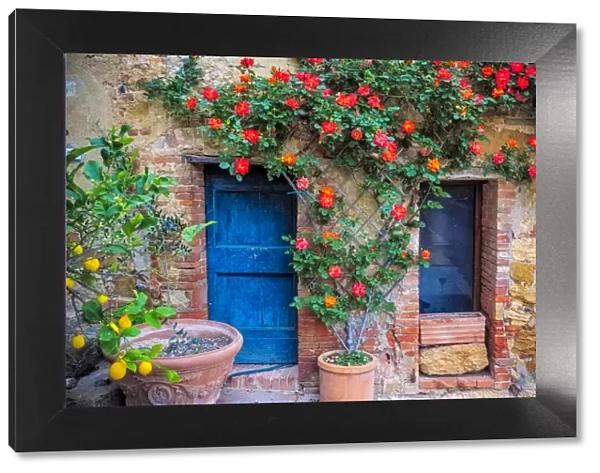 Europe, Italy, Val d Orcia. two doors with vegetation Credit as: Jim Nilsen