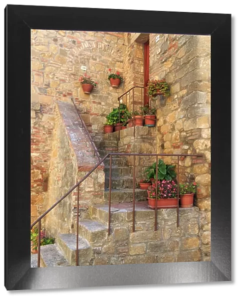 Italy, Val d Orcia in Tuscany, province of Siena, Monticchiello. Stairs with potted flowers
