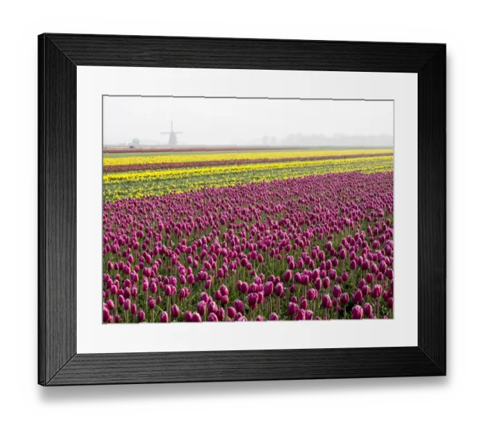 Framed Print : Flower with windmill in fog Framed Print : Flower with windmill in fog
