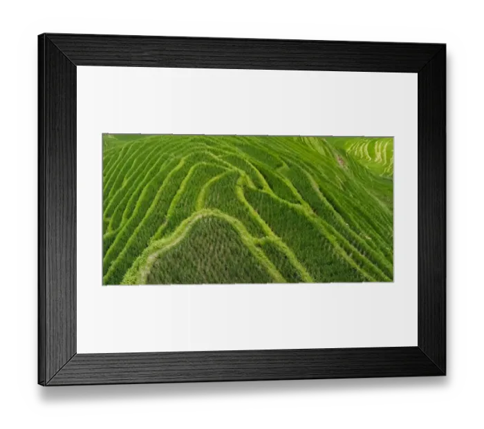 Framed Print : Rice terrace in the mountain, Longsheng, China Framed Print : Rice terrace in the mountain, Longsheng, China