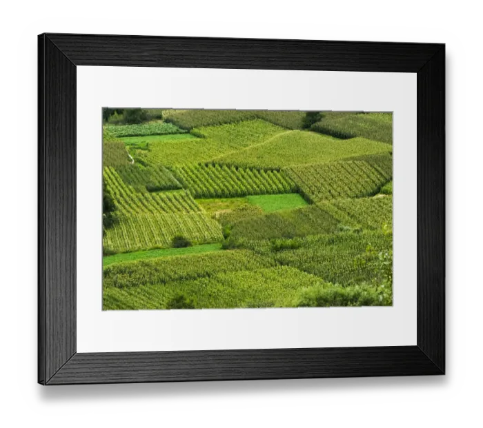 Framed Print : Corn field, Zhonglu Village, Danba County, Garze Tibetan Autonomous Prefecture, western Sichuan Framed Print : Corn field, Zhonglu Village, Danba County, Garze Tibetan Autonomous Prefecture, western Sichuan