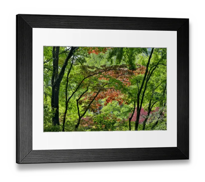 Framed Print : Springtime at Butchart Gardens, Victoria, British Columbia, Canada Framed Print : Springtime at Butchart Gardens, Victoria, British Columbia, Canada