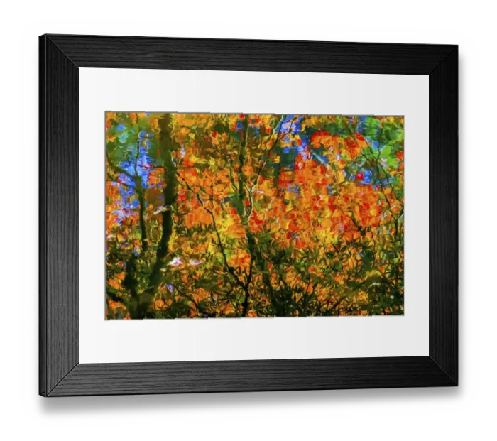 Framed Print : Abstract of red and orange Japanese maple tree. VanDusen Botanical Garden, Vancouver, Canada Framed Print : Abstract of red and orange Japanese maple tree. VanDusen Botanical Garden, Vancouver, Canada