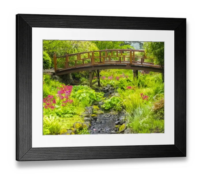 Framed Print : Japanese gardens and stream with bridge Framed Print : Japanese gardens and stream with bridge