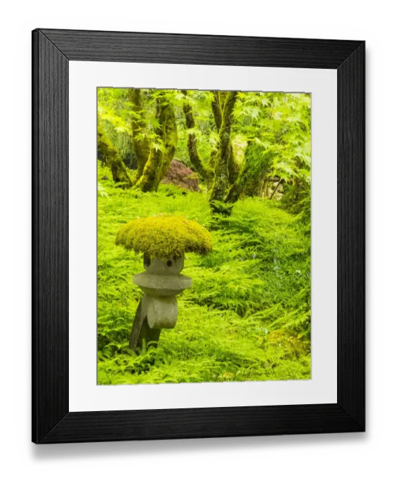 Framed Print : Japanese garden in green with ornament moss laden Framed Print : Japanese garden in green with ornament moss laden