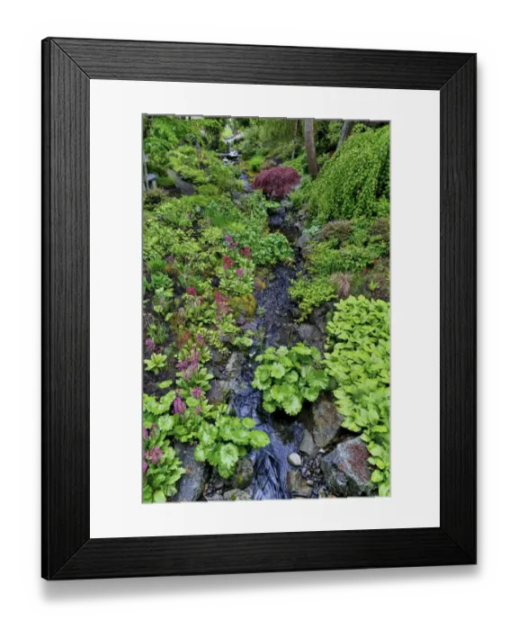 Framed Print : Springtime gardens at Horticulture Centre of the Pacific, Victoria, British Columbia Framed Print : Springtime gardens at Horticulture Centre of the Pacific, Victoria, British Columbia