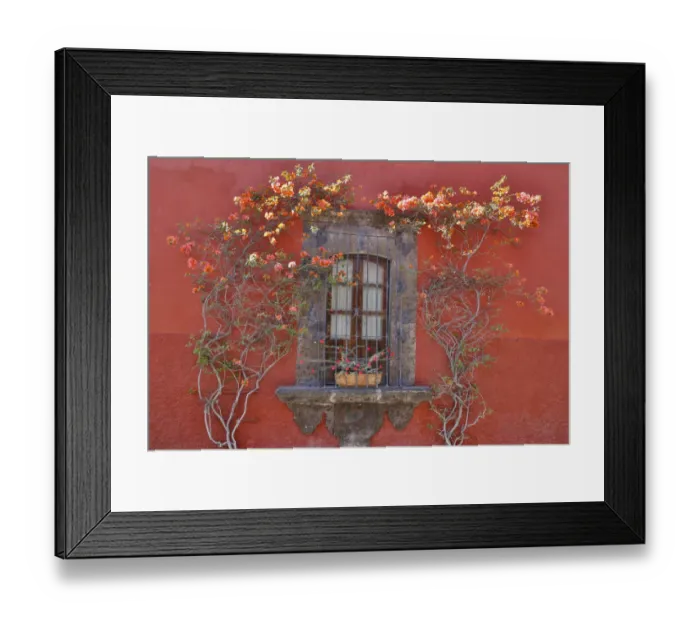 Framed Print : San Miguel De Allende, Mexico. Colorful buildings and windows Framed Print : San Miguel De Allende, Mexico. Colorful buildings and windows