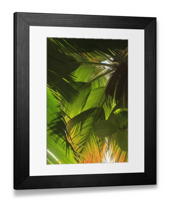 Framed Print : Hawaiian Tropical Botanical Gardens, near Hilo, Big Island, Hawaii, USA