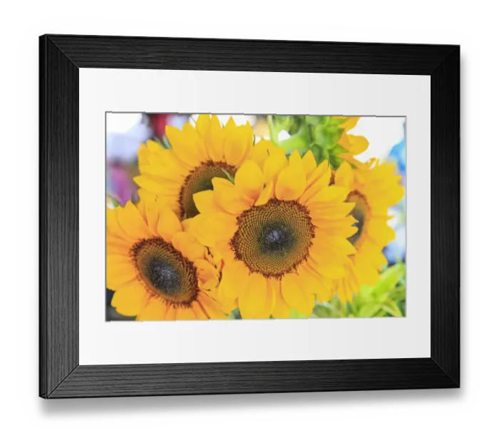 Framed Print : Saturday Farmers Market in Downtown Hilo, Big Island, Hawaii Framed Print : Saturday Farmers Market in Downtown Hilo, Big Island, Hawaii