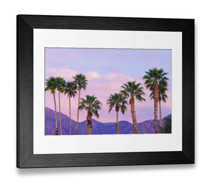 Framed Print : California Fan Palms under San Ysidro Mountain, Anza-Borrego Desert State Park, California Framed Print : California Fan Palms under San Ysidro Mountain, Anza-Borrego Desert State Park, California