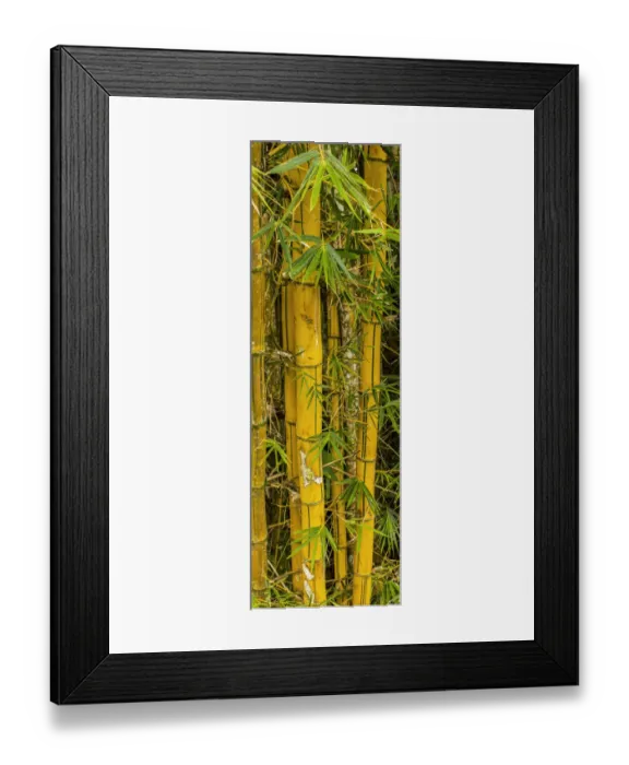 Framed Print : Puntarenas, Costa Rica