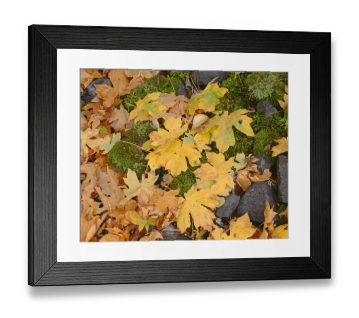 Framed Print : USA, Oregon, Columbia River Gorge National Scenic Area Framed Print : USA, Oregon, Columbia River Gorge National Scenic Area