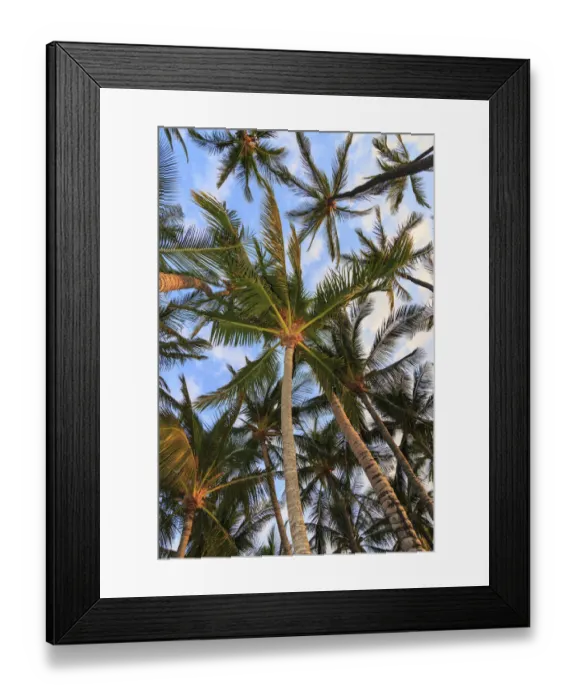 Framed Print : Anaeho omalu Bay, Kohala Coast, Big Island, Hawaii, USA Framed Print : Anaeho omalu Bay, Kohala Coast, Big Island, Hawaii, USA