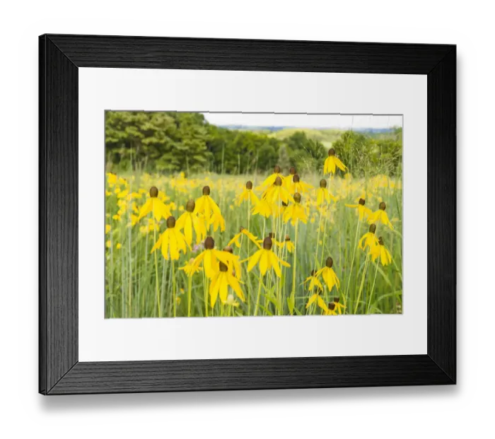 Framed Print : USA, New Jersey. Upper Raritan River Basin, North Branch, Tewksbury Township, Oldwick Framed Print : USA, New Jersey. Upper Raritan River Basin, North Branch, Tewksbury Township, Oldwick