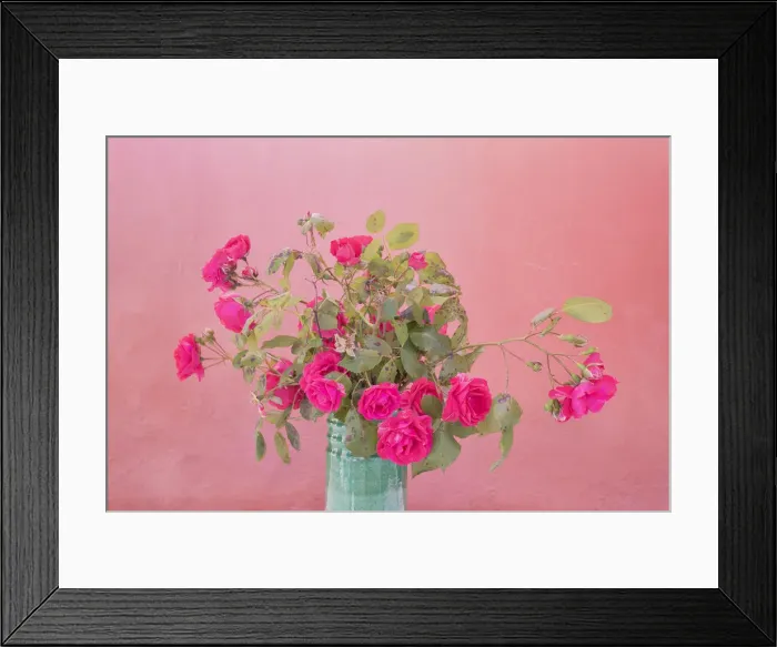 Framed Print : Europe, Italy, Vernazza. Roses in vase. Credit as: Jim Nilsen / Jaynes Gallery / DanitaDelimont Framed Print : Europe, Italy, Vernazza. Roses in vase. Credit as: Jim Nilsen / Jaynes Gallery / DanitaDelimont