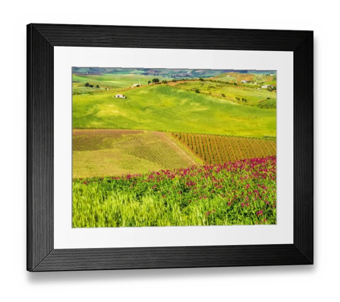 Framed Print : Alcamo countryside Framed Print : Alcamo countryside