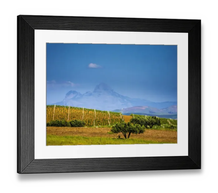Framed Print : Italy, Sicily, Trapani. Alcamo countryside