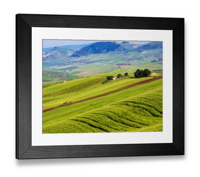 Framed Print : Italy, Sicily, Trapani. Alcamo countryside