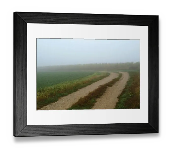 Framed Print : Rural lane through foggy farm field in early morning Framed Print : Rural lane through foggy farm field in early morning