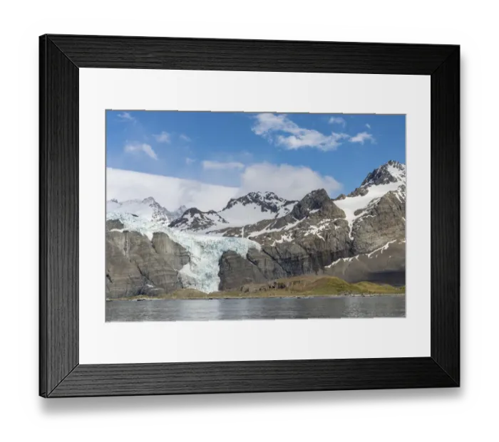 Framed Print : Gold Harbour with mighty Bertrab Glacier on South Georgia Island Framed Print : Gold Harbour with mighty Bertrab Glacier on South Georgia Island