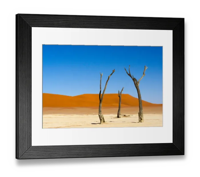 Framed Print : Dead Acacia trees in Deadvlei, Sossusvlei, Namib-Naukluft National Park, southern Narim Desert