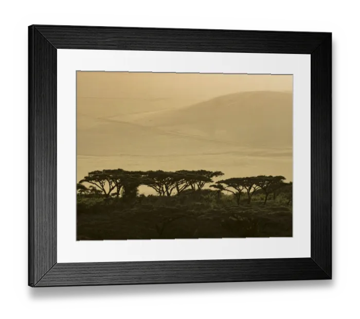 Framed Print : Africa, Tanzania, Ngorongoro Conservation Area. Highlands trees in shade. Credit as Framed Print : Africa, Tanzania, Ngorongoro Conservation Area. Highlands trees in shade. Credit as