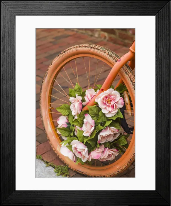 Framed Print : USA, Washington D. C. Georgetown. painted bicycle