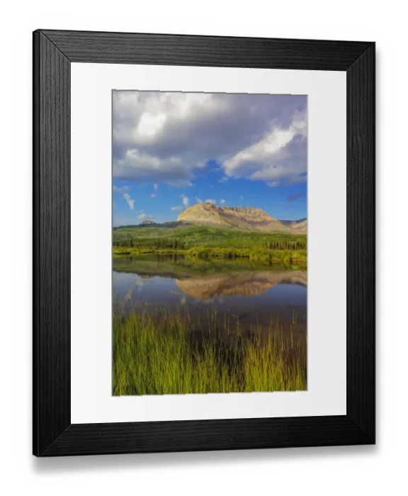Framed Print : Sofa Mountain reflects into beaver pond in Waterton Lakes National Park, Alberta, Canada Framed Print : Sofa Mountain reflects into beaver pond in Waterton Lakes National Park, Alberta, Canada
