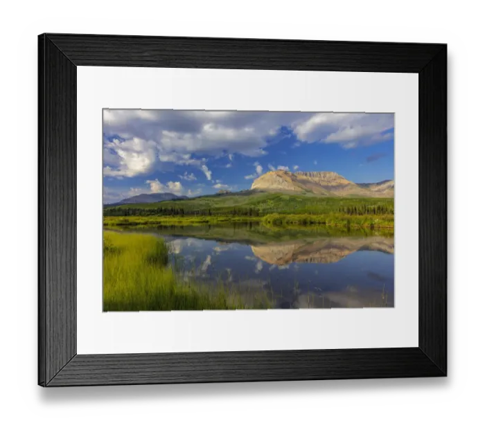 Framed Print : Sofa Mountain reflects into beaver pond in Waterton Lakes National Park, Alberta, Canada Framed Print : Sofa Mountain reflects into beaver pond in Waterton Lakes National Park, Alberta, Canada