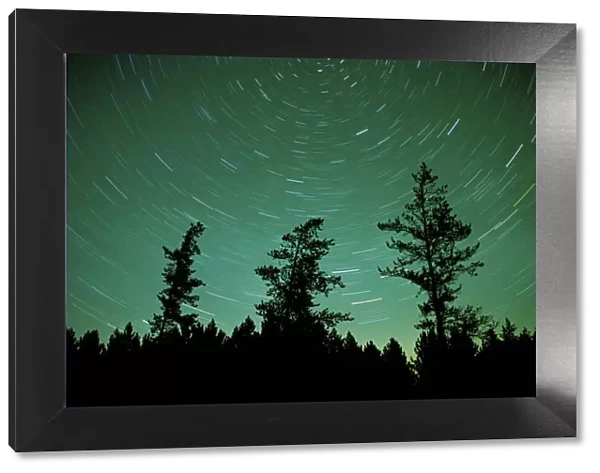 Canada, Manitoba, Sandilands Provincial Forest. Star trails and northern lights. Credit as