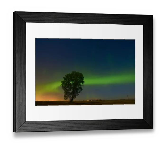 Framed Print : Canada, Manitoba, Dugald. Northern Lights and cottonwood tree on prairie. Credit as Framed Print : Canada, Manitoba, Dugald. Northern Lights and cottonwood tree on prairie. Credit as