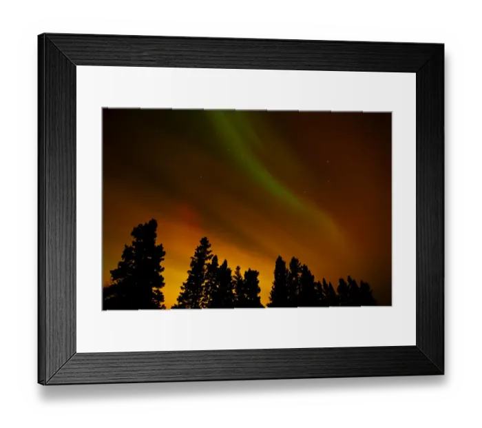 Framed Print : Canada, Manitoba, Birds Hill Provincial Park. Aurora borealis and trees. Credit as Framed Print : Canada, Manitoba, Birds Hill Provincial Park. Aurora borealis and trees. Credit as