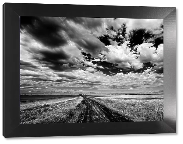 Canada, Manitoba, Grande Pointe. Black and white of clouds and road through field